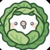 白菜游戏盒子