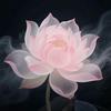༗上上签ཻ࿐