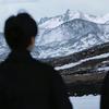 菠萝吹雪，