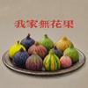 我家无花果
