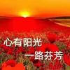 心系阳光