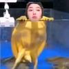 万事无碍