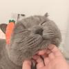 翻斗花园牛爷爷