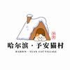 予安猫村宣传部长-恬恬
