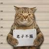啊贤呐