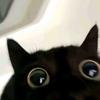 猕桃