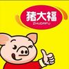 长沙猪大福饲料