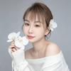 贾小贝
