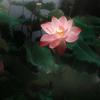 后悔了-222