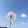 明镜台