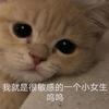 Naiposen（闭关疯狂减肥版）头像