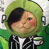 暴力测评带货日记
