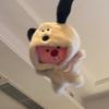 腿腿