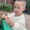 青柠🍋