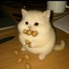 呆呆一个呆呆