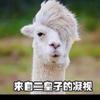 步云
