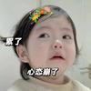 张鱼小丸子