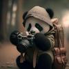 🐼熊猫摄影