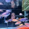 美羊羊爱养🐟