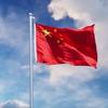 楊忠丽🐉