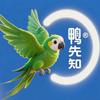 鸭先知🦜