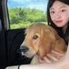 琦怪的金宝（努力攒粉版）