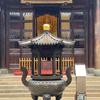 👀普陀龙师兄（祈福）