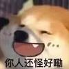 Yq木木