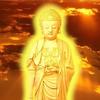 寒松（吉星高照之年年有余）