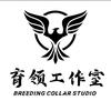 育领工作室