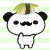 小苗木头
