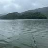 野钓大勇哥🎣