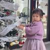 活成一束光