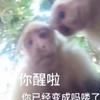 马骝
