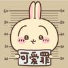 鱼小蛋