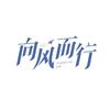 电视剧向风而行
