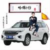 艾妮寐滋
