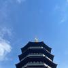 一小只点