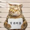 猫猫搞笑
