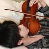 橹橹猫🎻