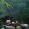 暖茶