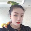 鹦鹉姐姐