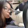妹妹是只猫