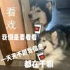 🌈中中中头像