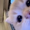 167