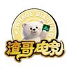 渣哥电竞
