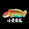 商丘贾新友渔业臻选阁