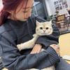 小小酥（美职篮全明星）