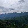 @刘