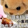 早睡的学姐